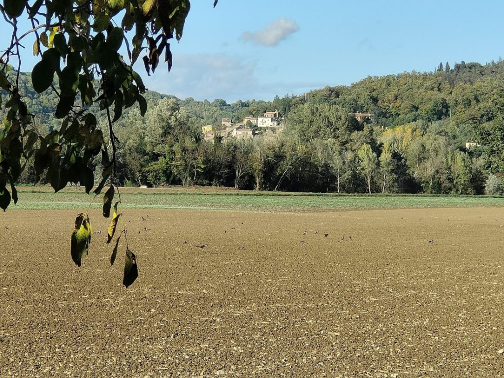 campo lavorato ottimo per la caccia alle cornacchie